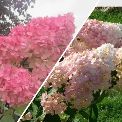 Комплект МНОГОГРАННОСТЬ в Жлобине