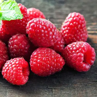 Малина ЭРИКА в Жлобине