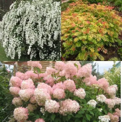 Комплект ФЕЙЕРВЕРК ЛЕТА в Жлобине