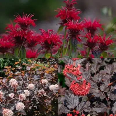 Комплект ОГНЕННЫЙ МИКС в Жлобине