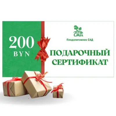 Подарочный сертификат на 200 BYN в Жлобине
