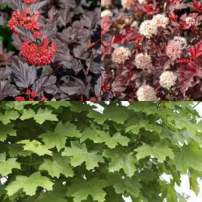 Комплект ОСЕННИЙ КОСТЕР в Жлобине