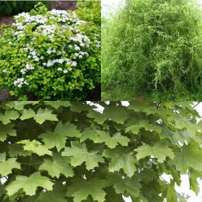 Комплект ЗЕЛЕНЫЙ ОАЗИС в Жлобине