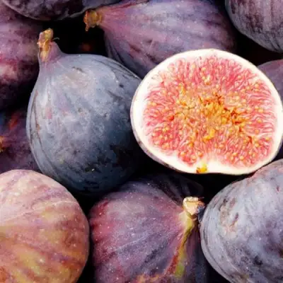 Инжир МУАССОН в Жлобине