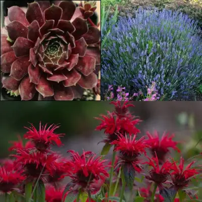 Комплект ФИОЛЕТОВОЕ ВДОХНОВЕНИЕ в Жлобине