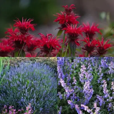 Комплект АРОМАТНЫЙ ЧАЙ в Жлобине