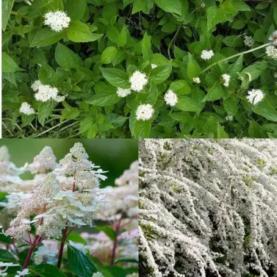 Комплект СКАНДИНАВСКИЙ СТИЛЬ в Жлобине