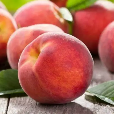 Персик МАЙСКИЙ ЦВЕТОК в Жлобине