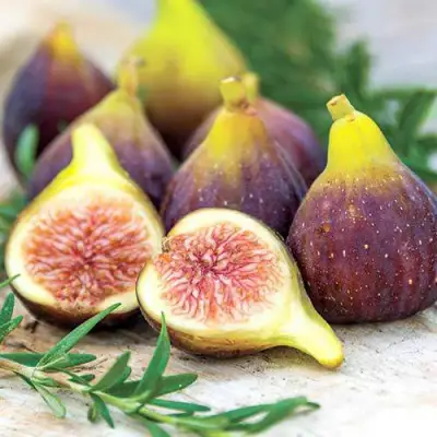 Инжир НИКИТСКИЙ в Жлобине