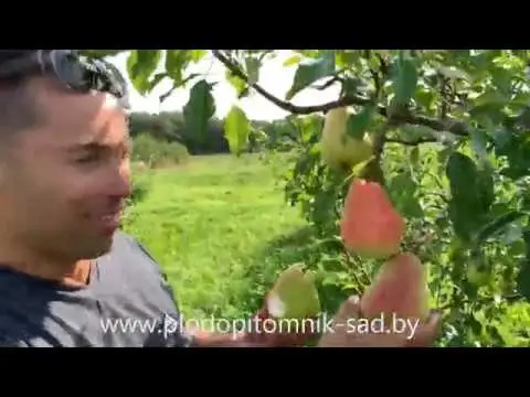 Превью видео