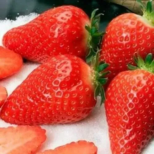 Клубника АЛЬБА  Клубника АЛЬБА в Жлобине