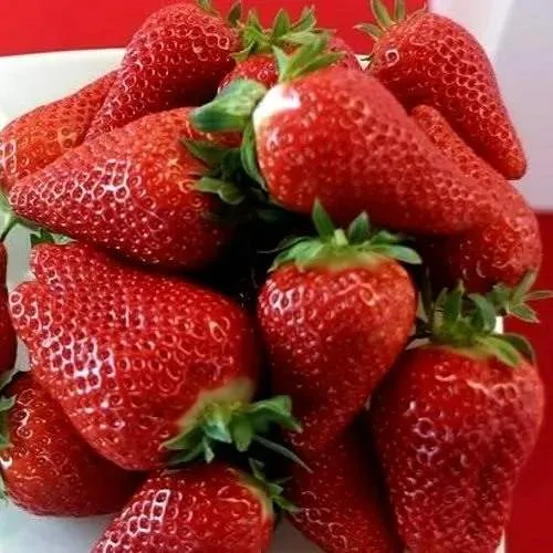 Клубника БРИЛЛА  Клубника БРИЛЛА в Жлобине