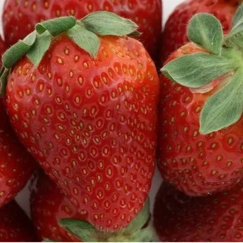 Клубника ФЛАМИНИЯ  Клубника ФЛАМИНИЯ в Жлобине