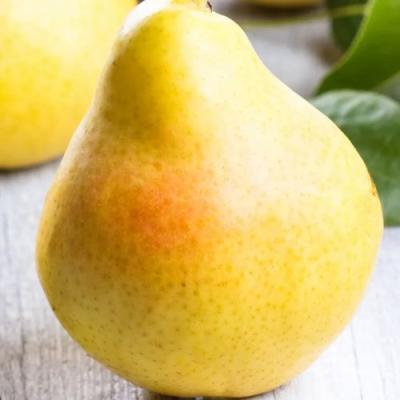 Желтая в Жлобине