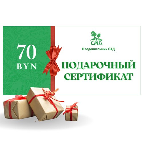 Подарочный сертификат на  70 BYN в Жлобине