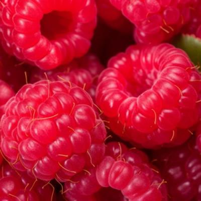 Красная в Жлобине