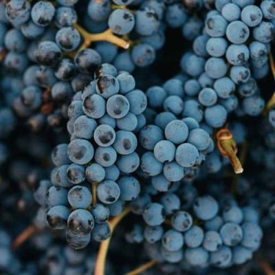 Технический в Жлобине