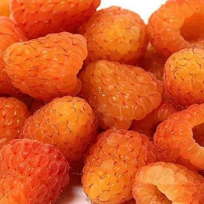 Оранжевая в Жлобине