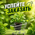 УСПЕЙТЕ ЗАКАЗАТЬ УСПЕЙТЕ ЗАКАЗАТЬ в Жлобине
